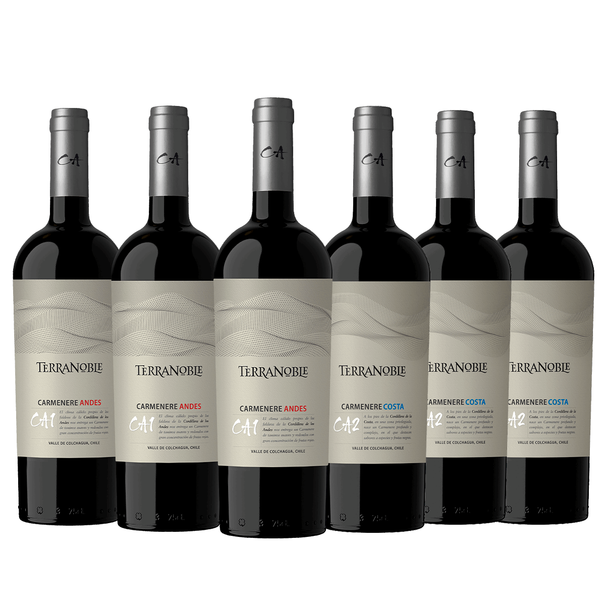 TerraNoble Cata Vertical de CA - ¡Para expertos de la calidad!