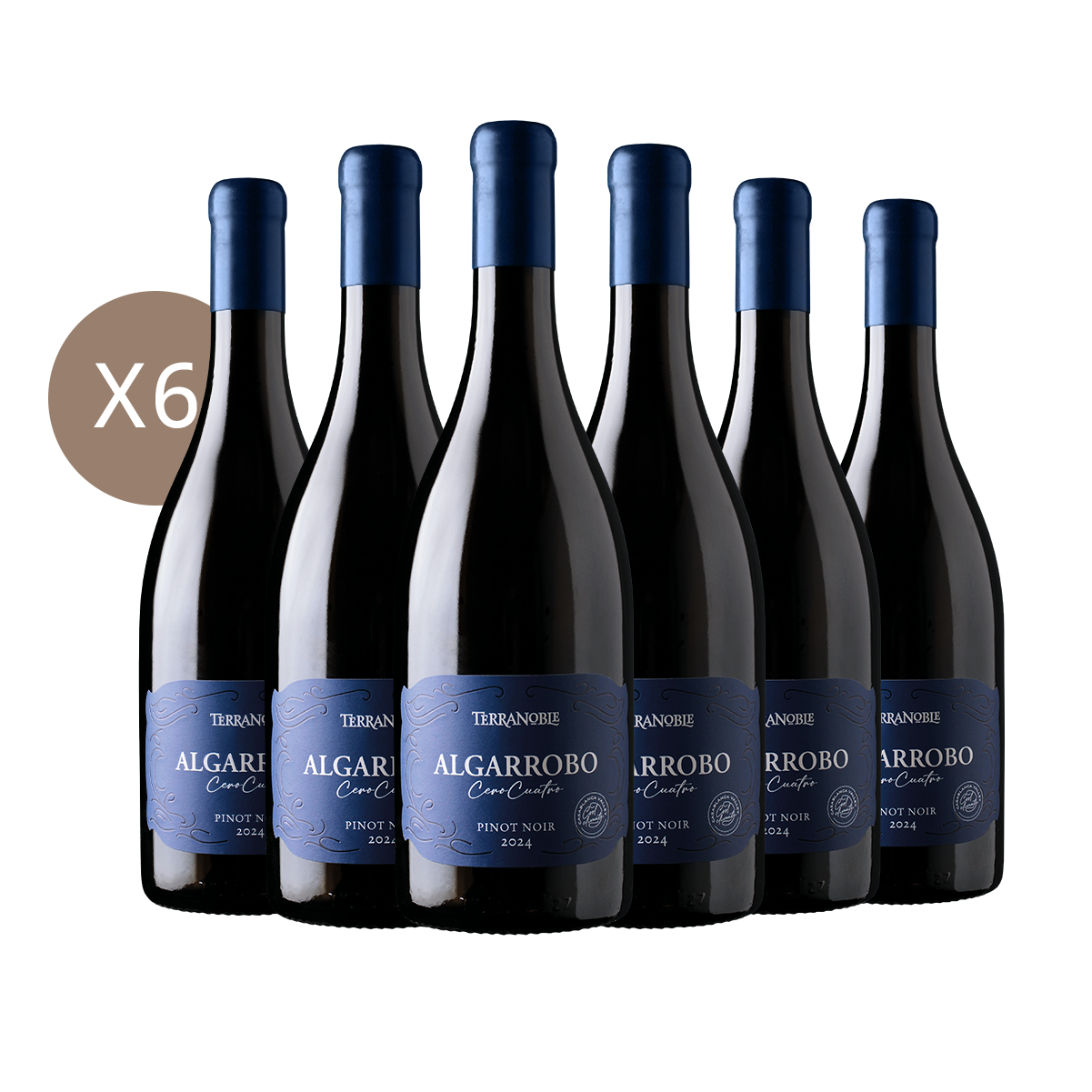 Algarrobo Cero Cuatro Pinot Noir – Caja de Vino 6 Botellas