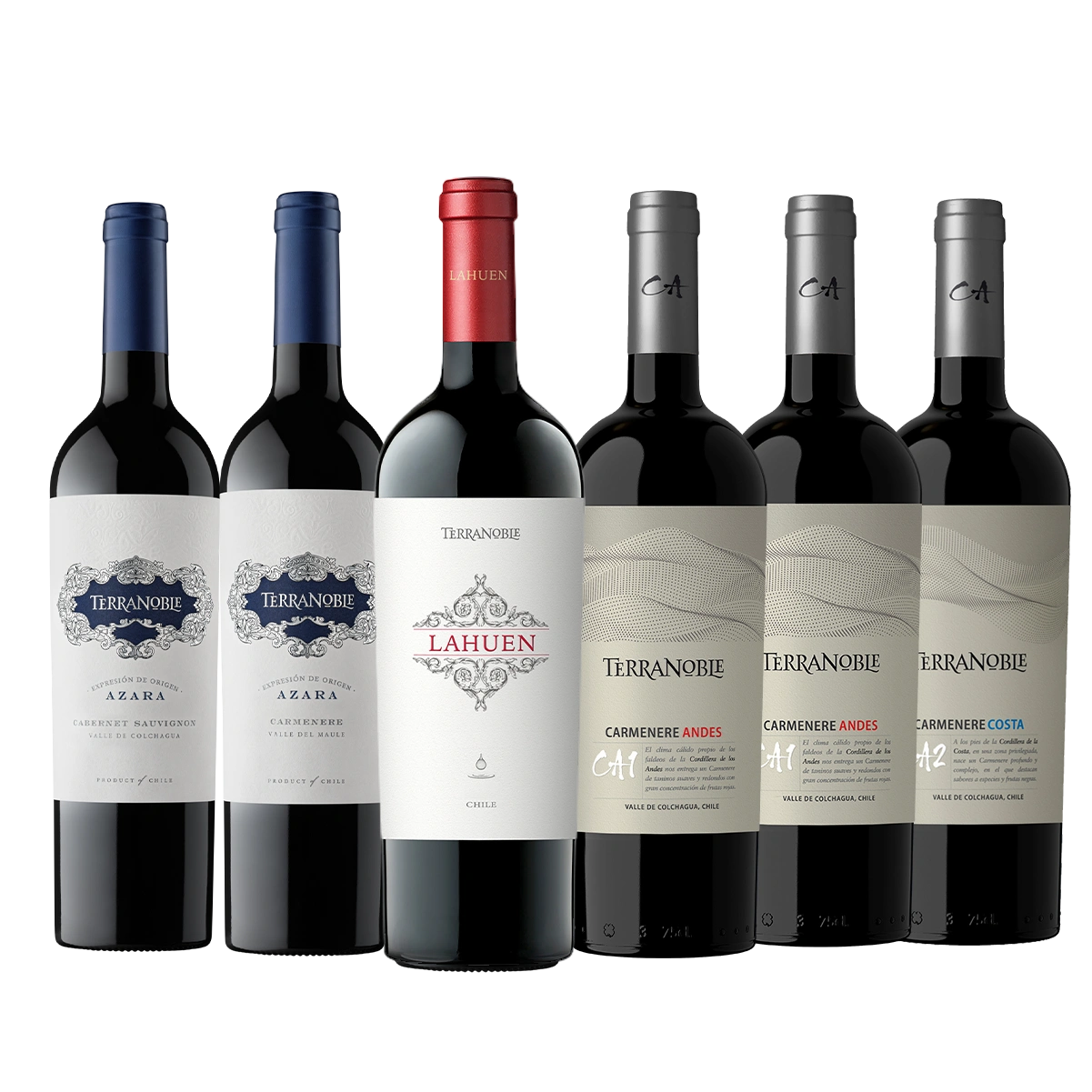 TerraNoble Pack Magnum Grandes Tintos – Caja de Vinos con 6 Botellas