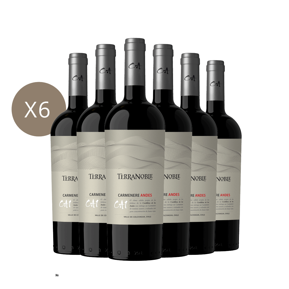 CA1 Andes - Caja 6 botellas
