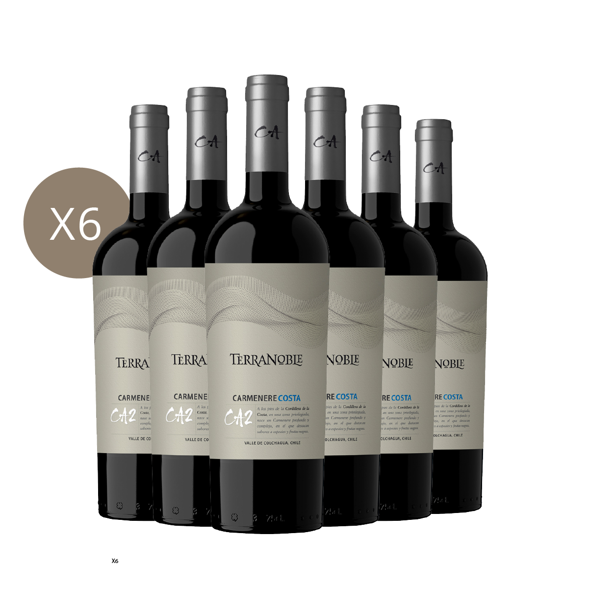 CA2 Costa** Caja 6 Botellas
