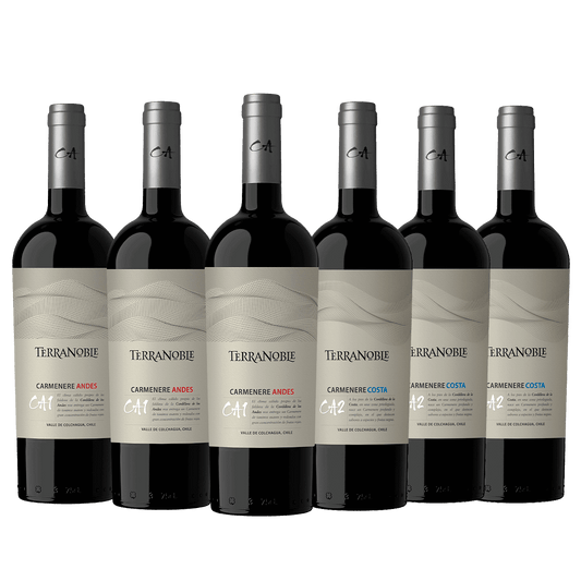 TerraNoble Cata Vertical de CA - ¡Para expertos de la calidad!