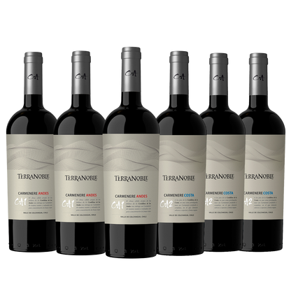 TerraNoble Cata Vertical de CA - ¡Para expertos de la calidad!