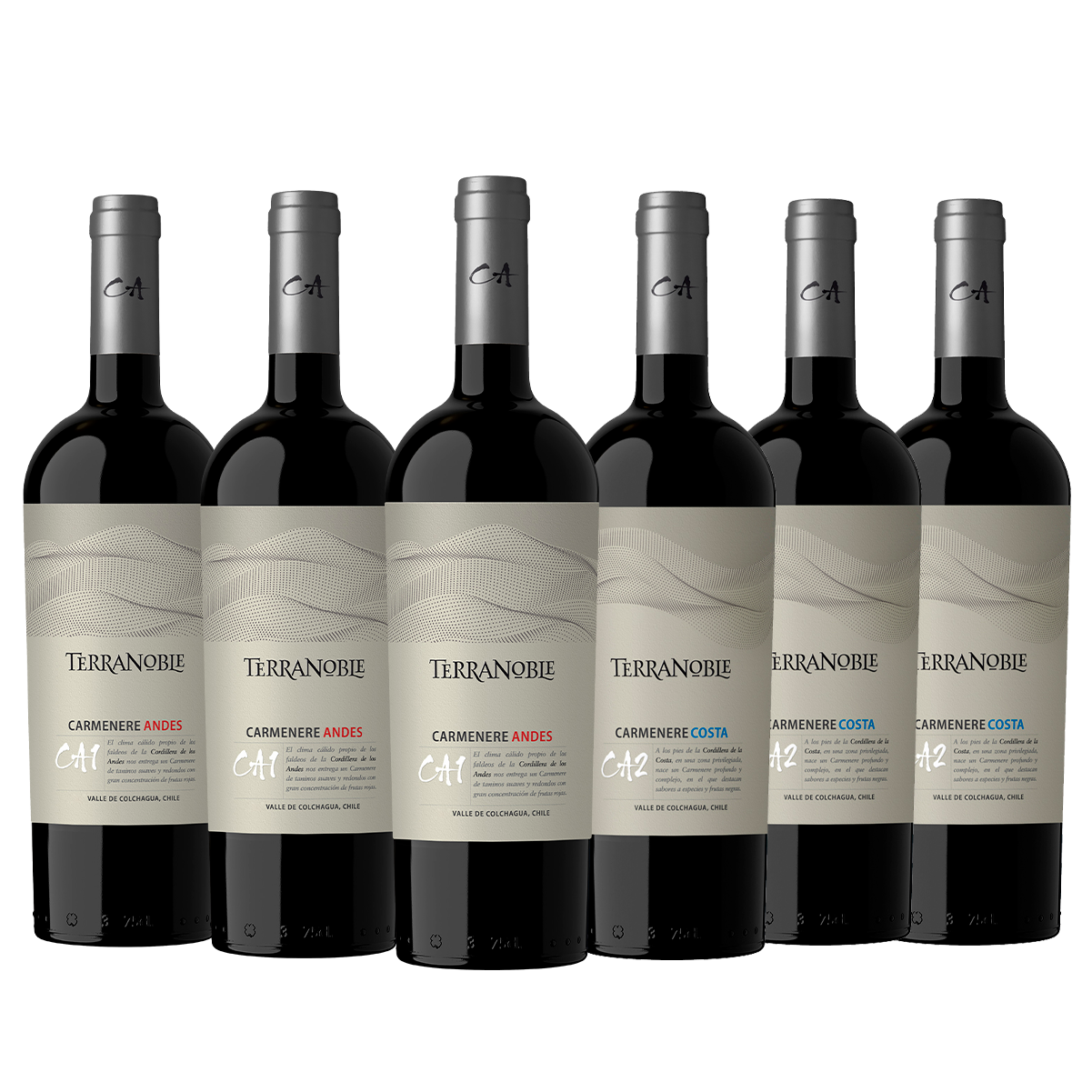 TerraNoble Cata Vertical de CA - ¡Para expertos de la calidad!
