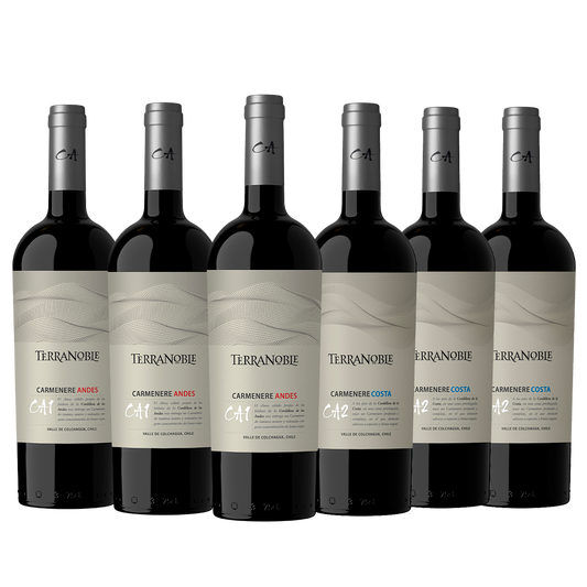 TerraNoble Cata Vertical de CA - ¡Para expertos de la calidad!