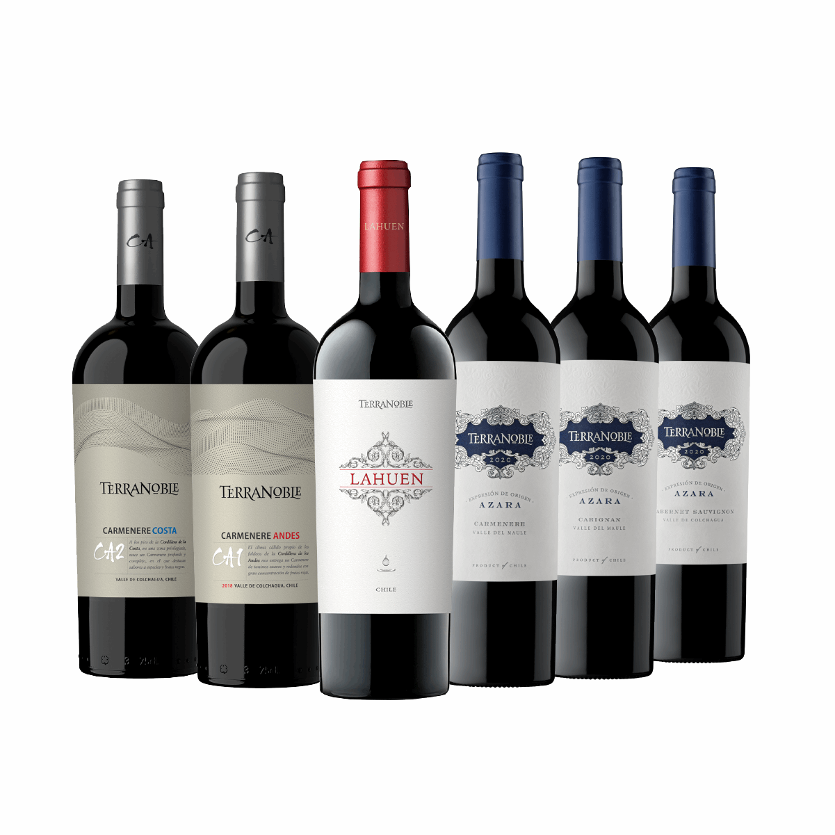 Terranoble Premium BOX - ¡Los 6 mejores vinos en una sola caja!