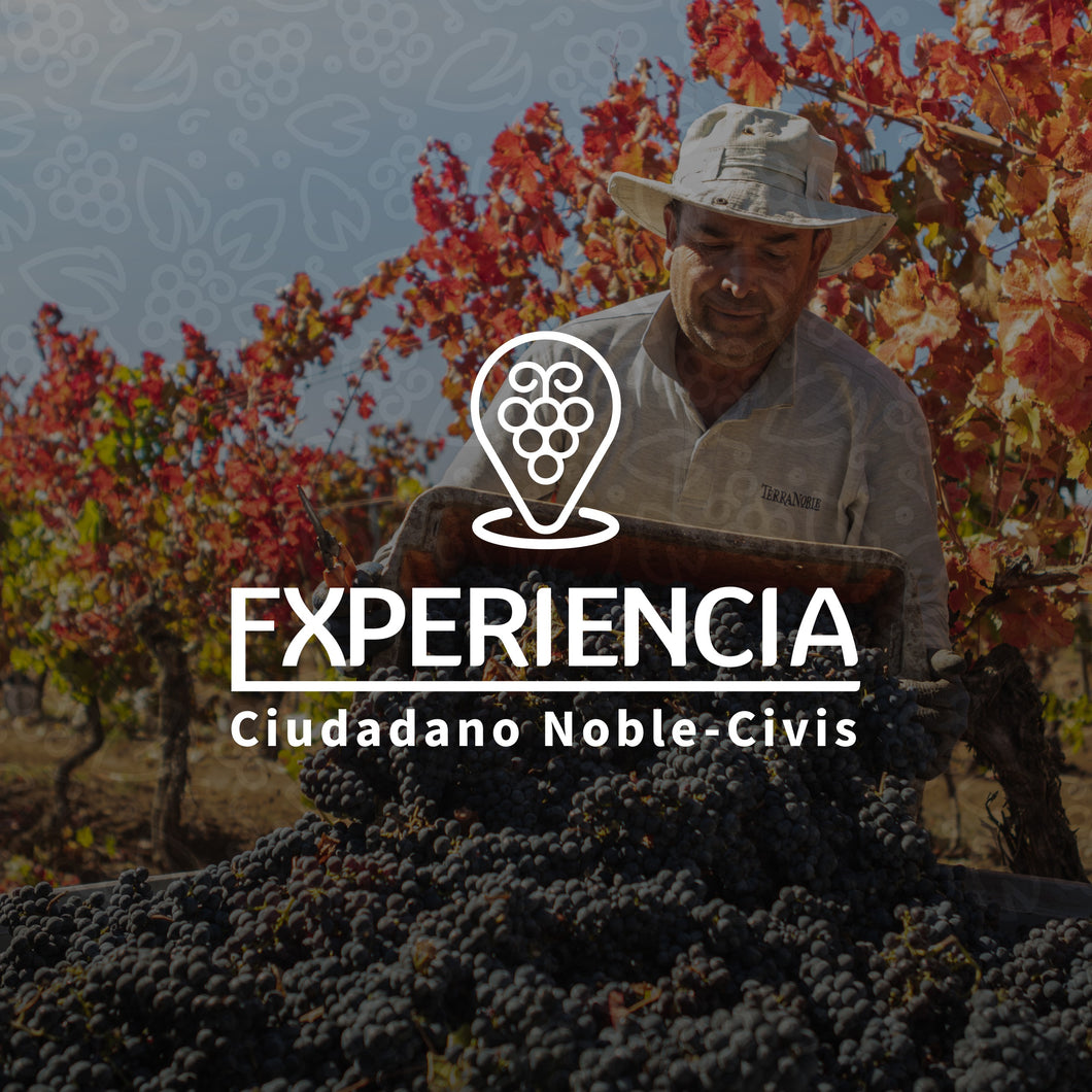 TERRANOBLE EXPERIENCIA CIUDADANO NOBLE - CIVIS ** degustación y visita bodega Talca
