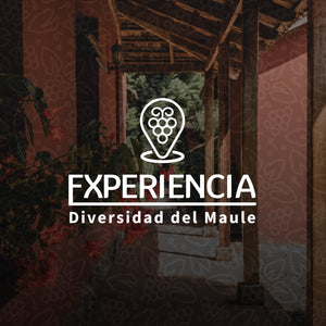 TERRANOBLE EXPERIENCIA DIVERSIDAD DEL MAULE ** degustación y visita a bodega Talca