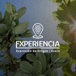 TERRANOBLE EXPERIENCIA EXPRESIÓN DE ORIGEN - AZARA ** degustación y visita bodega Talca