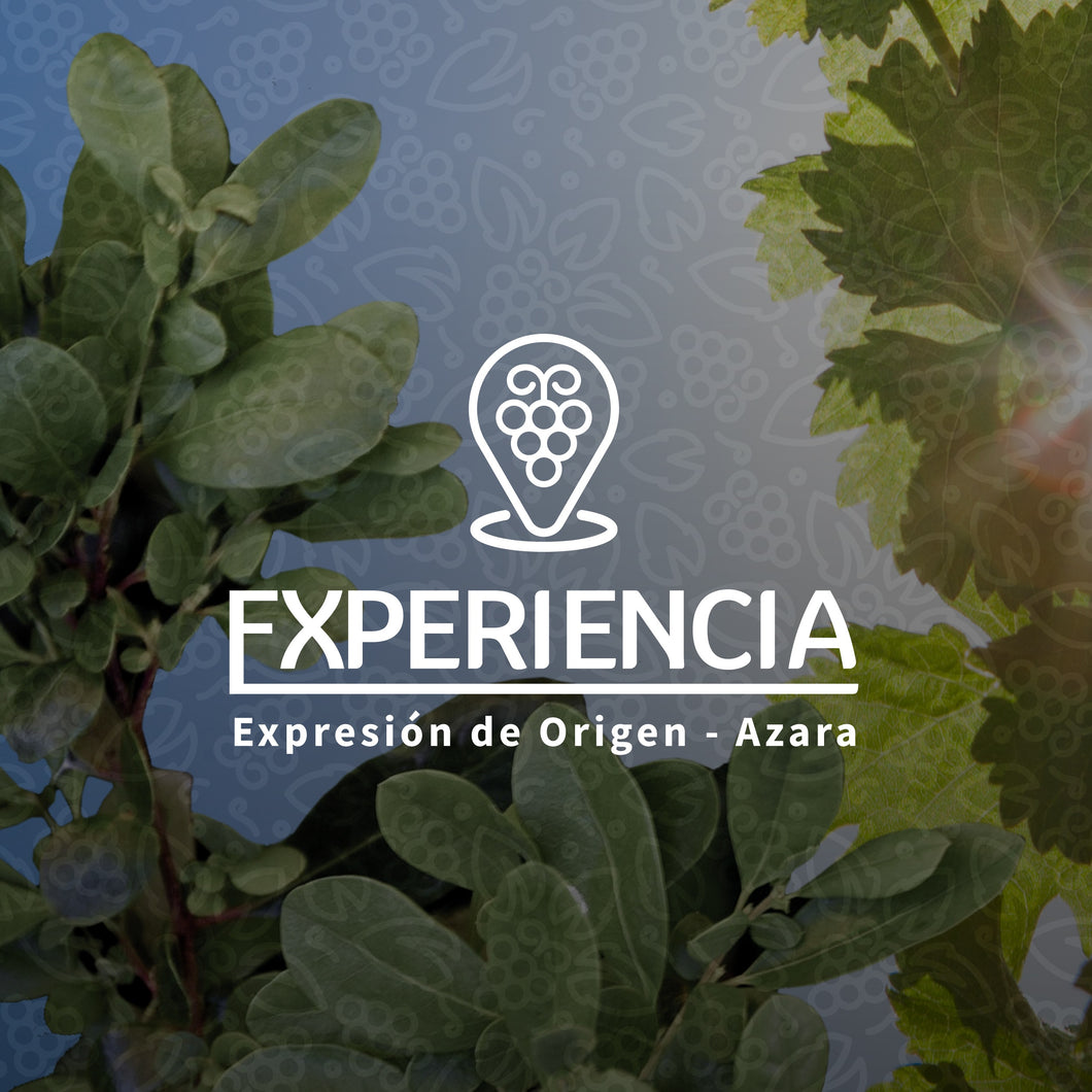 TERRANOBLE EXPERIENCIA EXPRESIÓN DE ORIGEN - AZARA ** degustación y visita bodega Talca