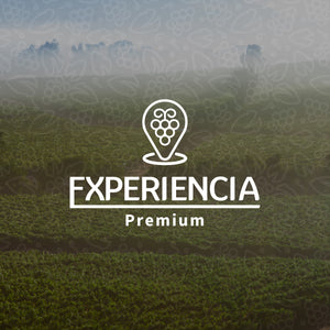 TERRANOBLE EXPERIENCIA PREMIUM ** degustación y visita bodega Talca