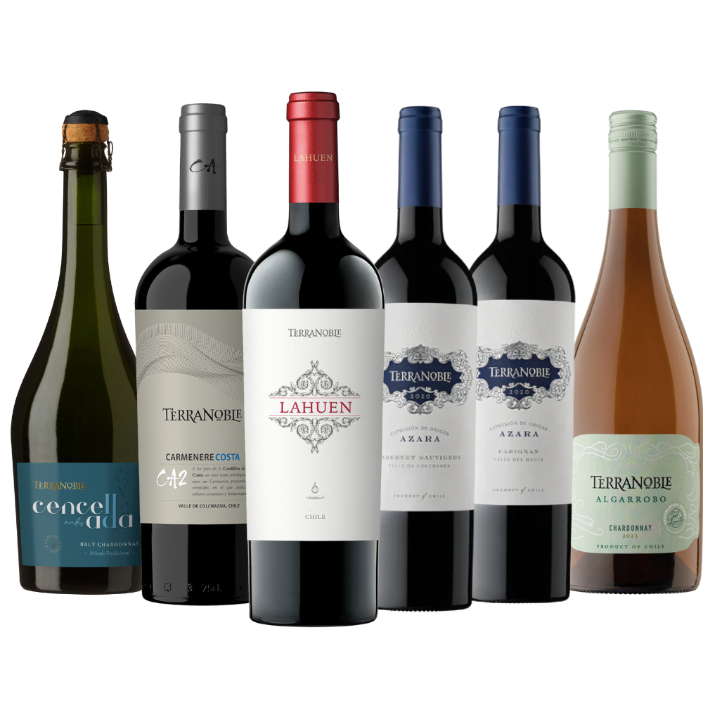 TerraNoble Premium BOX – Caja de Vinos con 6 Botellas