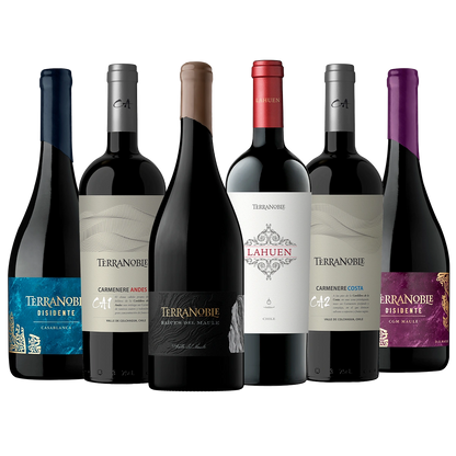 TerraNoble Mix Íconos - Caja de vino 6 botellas