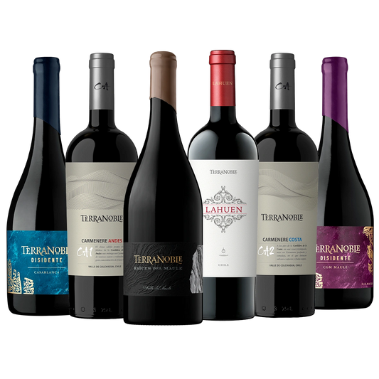 TerraNoble Mix Íconos - Caja de vino 6 botellas