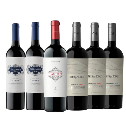 TerraNoble Pack Magnum Grandes Tintos – Caja de Vinos con 6 Botellas