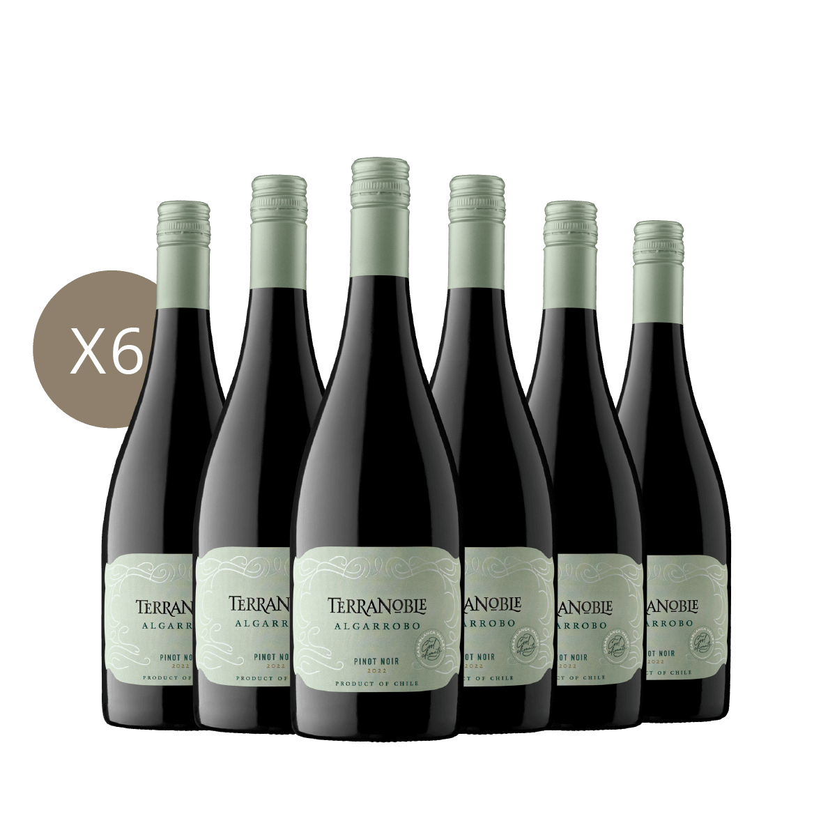 Algarrobo Pinot Noir - Caja 6 Botellas