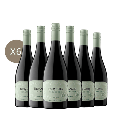 Algarrobo Pinot Noir - Caja 6 Botellas