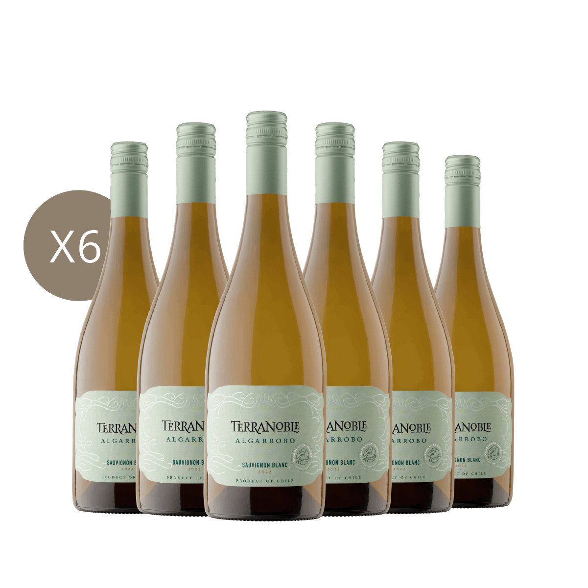 Algarrobo Sauvignon Blanc - Caja 6 Botellas