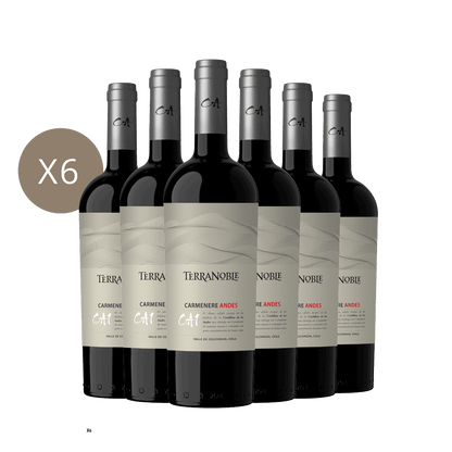 CA1 Andes - Caja 6 botellas