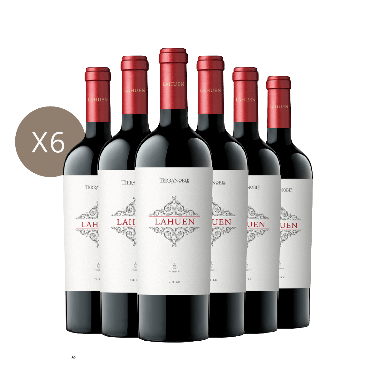 Lahuen - Caja 6 botellas