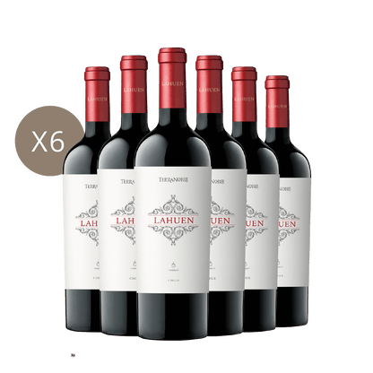 Lahuen - Caja 6 botellas