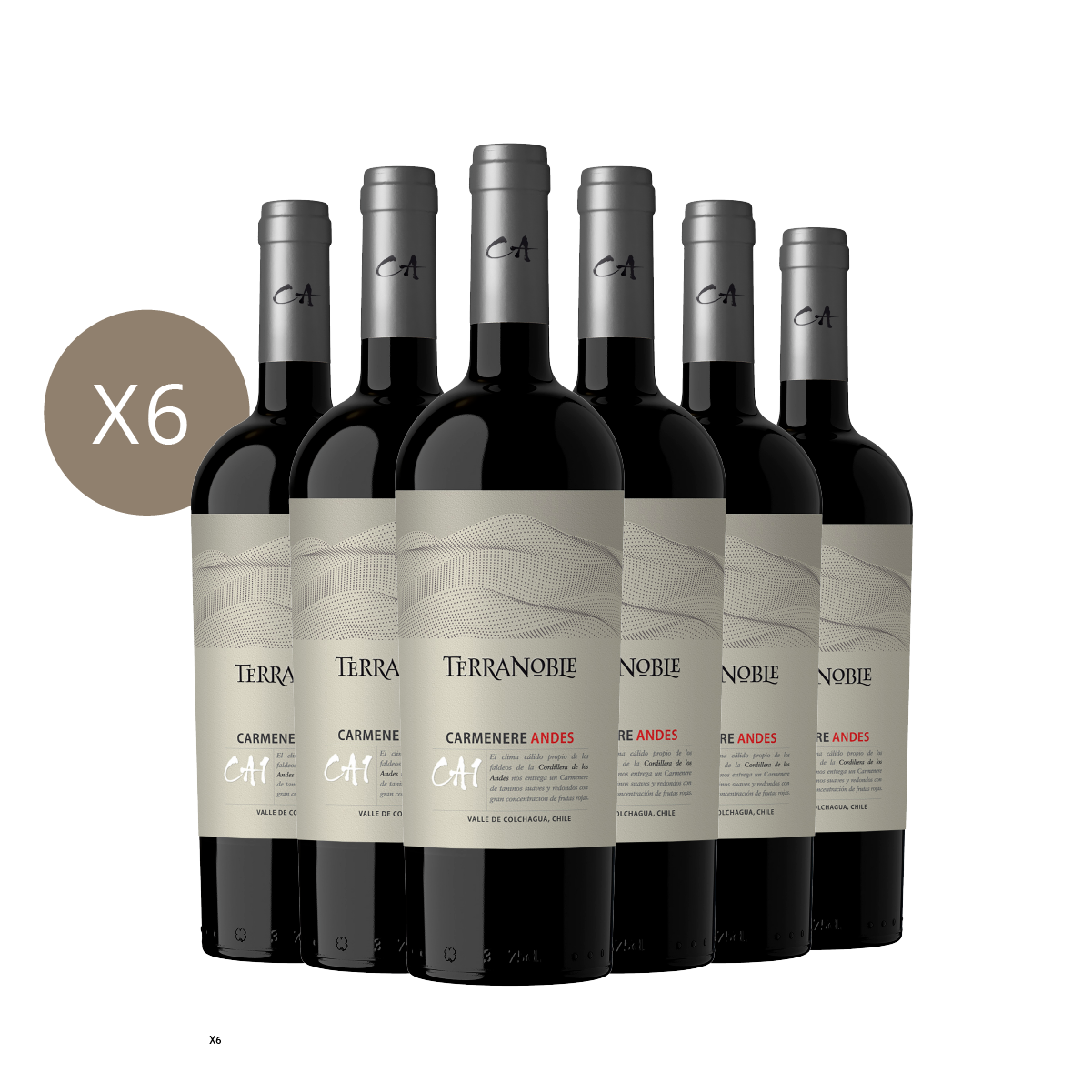 CA1 Andes** Caja 6 botellas