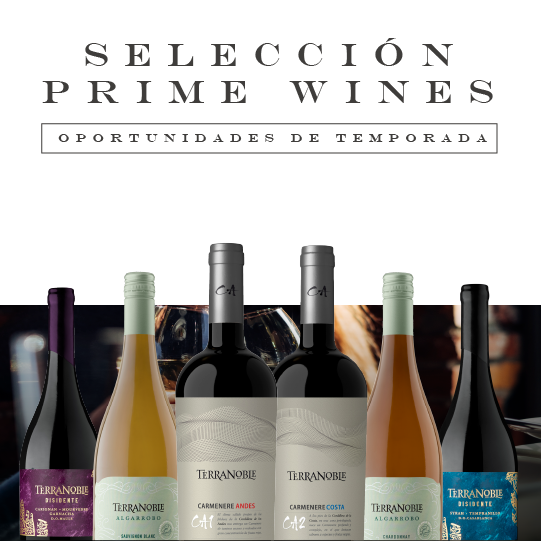 Terranoble Premium Pack - ¡Los 6 mejores vinos en una sola caja!