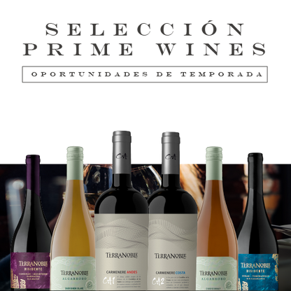 Terranoble Premium Pack - ¡Los 6 mejores vinos en una sola caja!