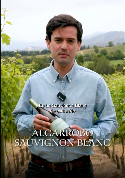 Algarrobo Sauvignon Blanc – Caja de Vino 6 Botellas