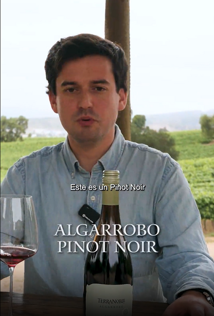 Algarrobo Pinot Noir – Caja de Vino 6 Botellas