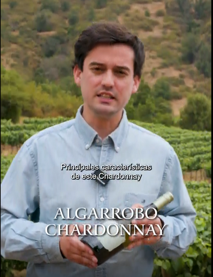 Algarrobo Chardonnay – Caja de Vino 6 Botellas