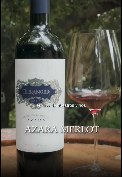 Azara Merlot – Caja de Vino 6 Botellas